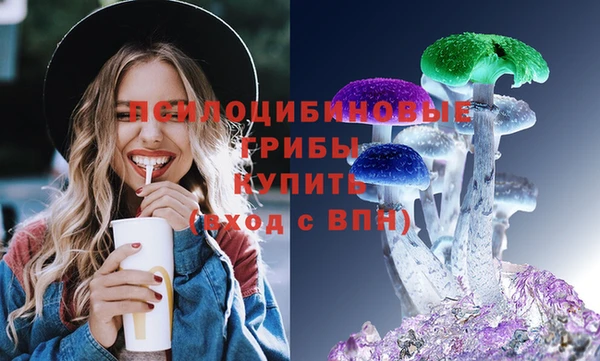 PSILOCYBIN Балабаново
