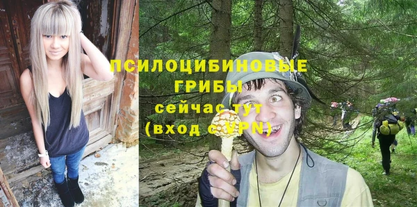 ПСИЛОЦИБИНОВЫЕ ГРИБЫ Балахна