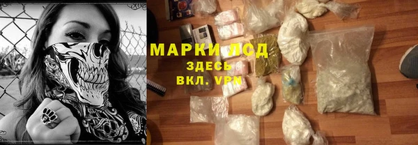PSILOCYBIN Балабаново